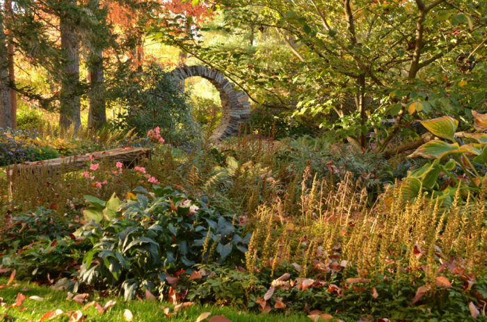 wide view of fall garden with pink flowers and colorful foliage