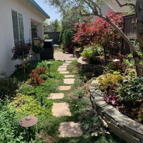 Kathy’s Backyard-transformatie in Sacramento
