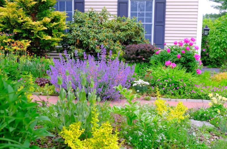 Summer in Tingshu's Front Garden - FineGardening