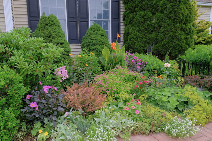 July in Tingshu’s Front Garden - Fine Gardening