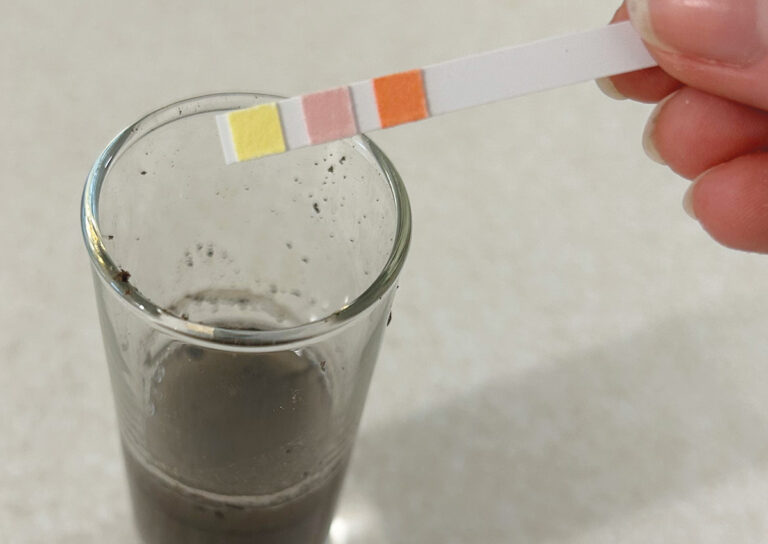 5 Easy Ways to Test Your Garden Soil pH at Home - Fine Gardening