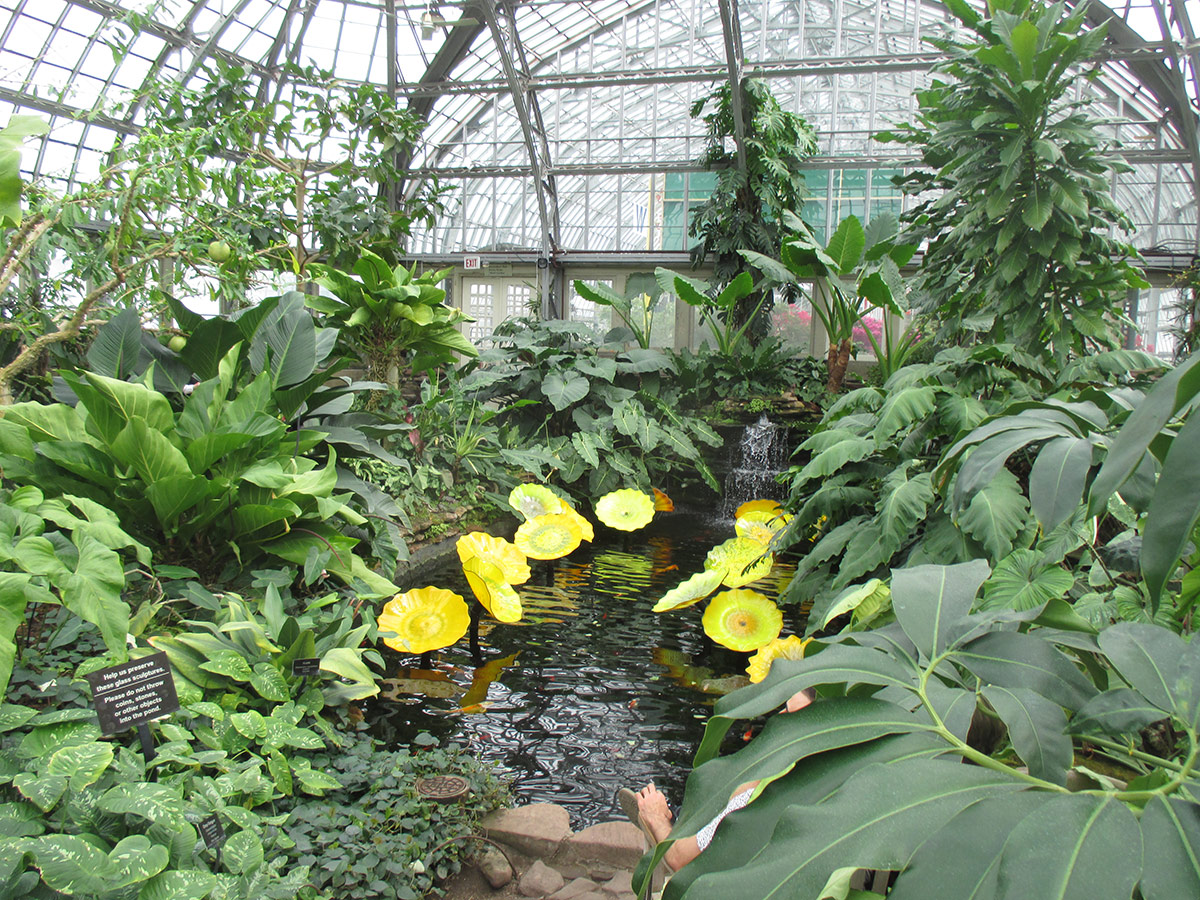 Aroid House with pond at Garfield Park Conservatory