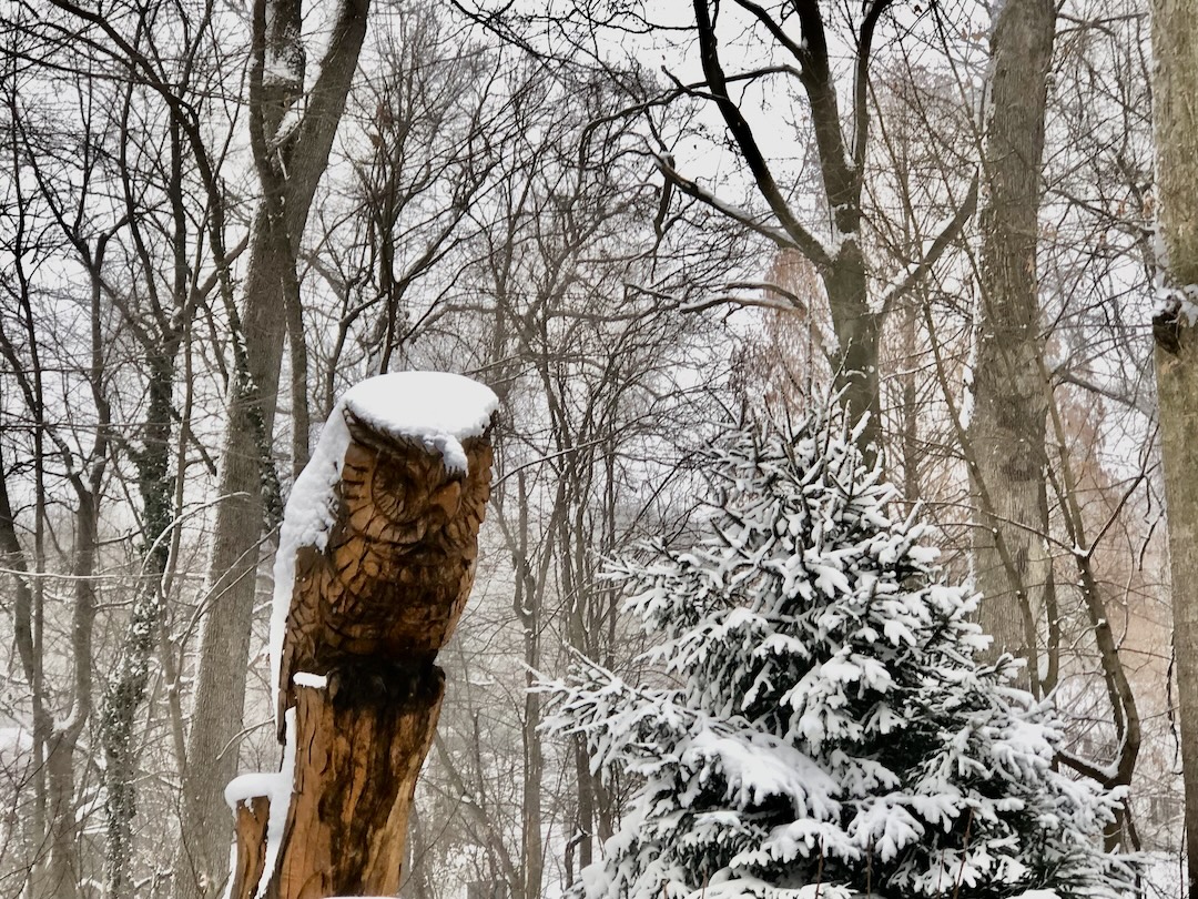carved wood owl sculpture covered in snow