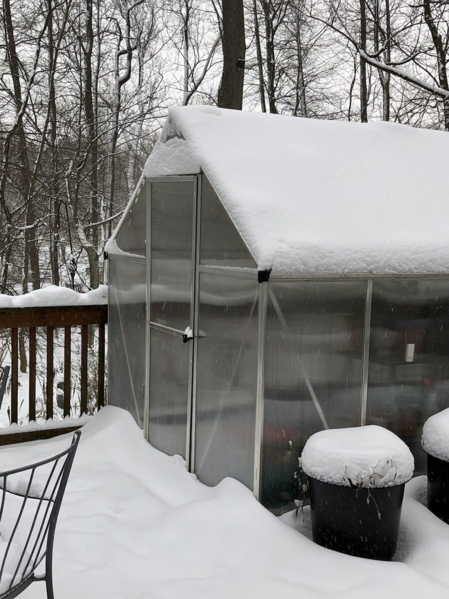 small greenhouse on a deck covered in snow
