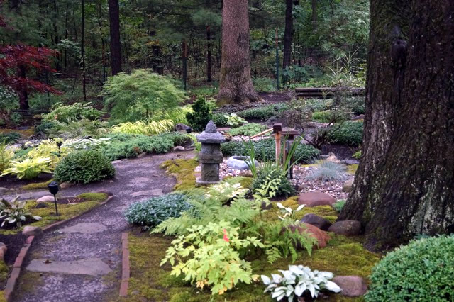 path cutting through a Japanese style garden with foliage plants and large trees