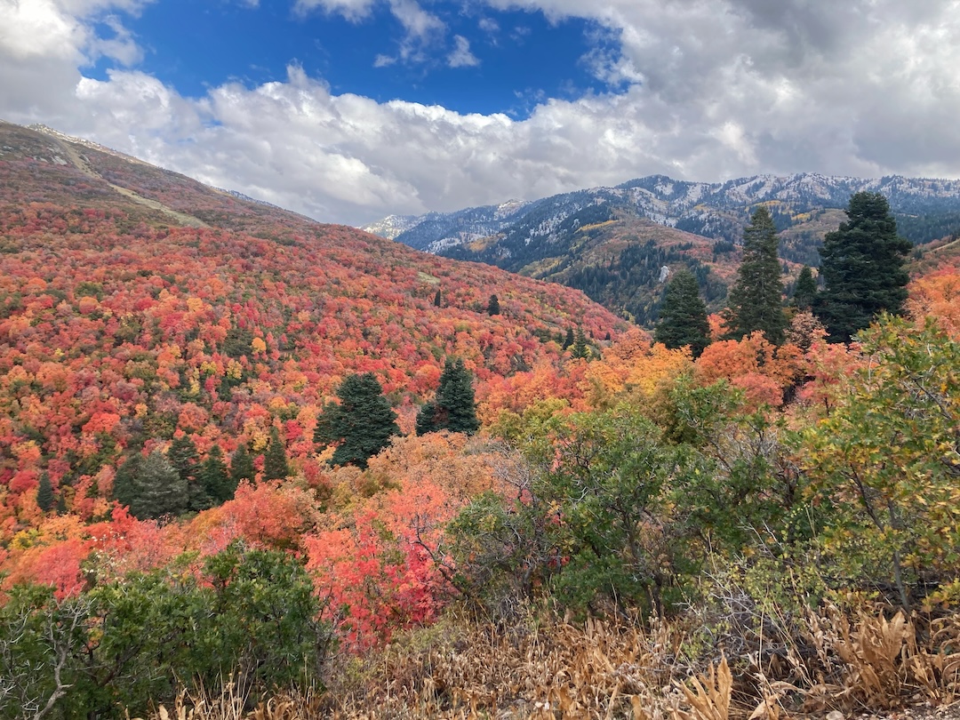 view of hills and mountains with fall foliage