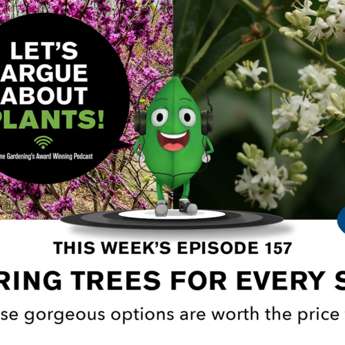 Episode 157: Flowering trees for every season  