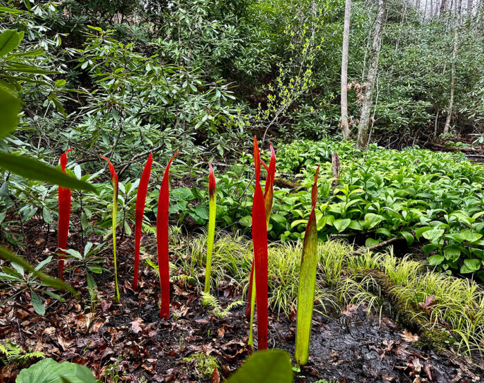 bright red and green blown glass leaves in the bog garden