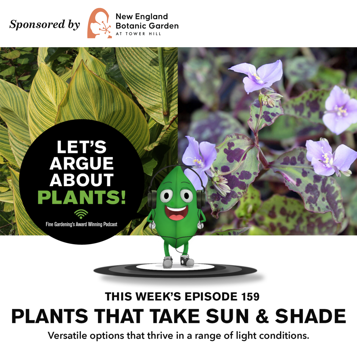 Episode 159: Plants that Take Sun and Shade   