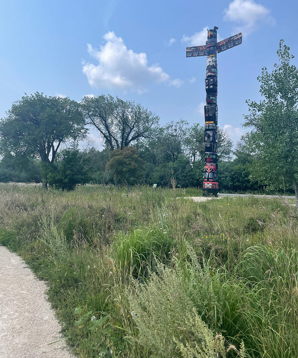 large totem pole amongst a large planting of native grasses
