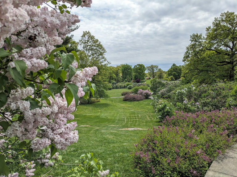 GPOD on the Road: Spring at New York Botanical Garden - Fine Gardening