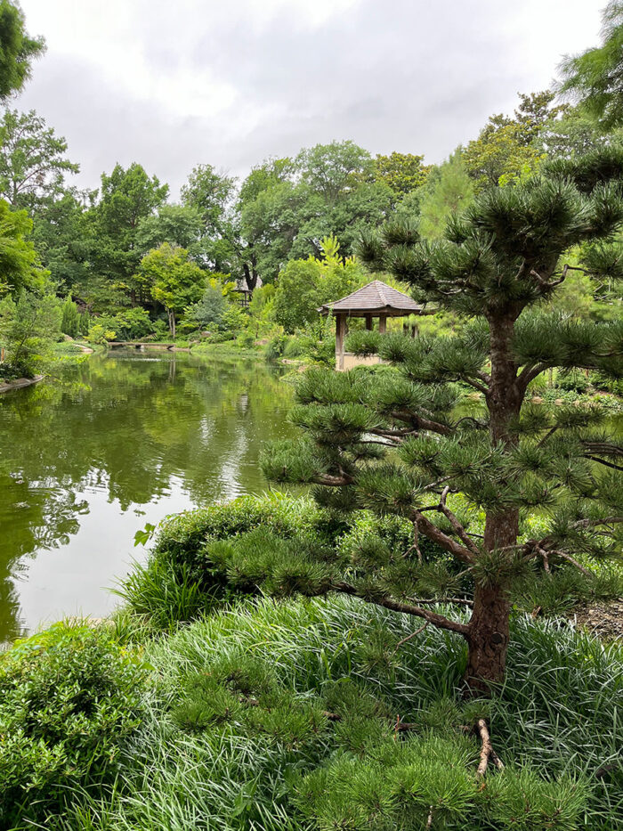 GPOD on the Road: Fort Worth Botanic Garden - Fine Gardening