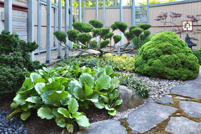 Japanese style courtyard garden