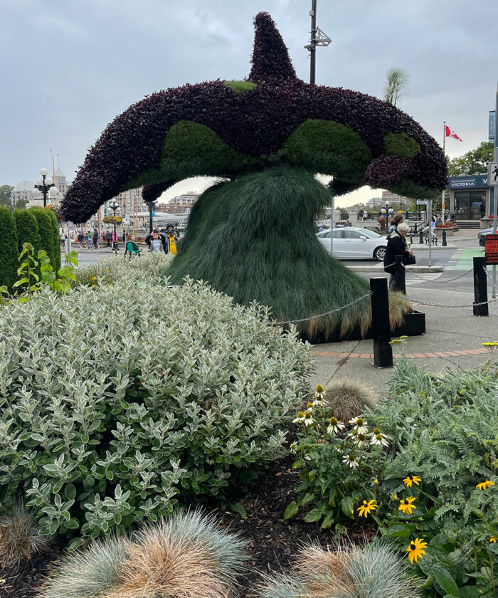 wale topiary surrounded by garden bed