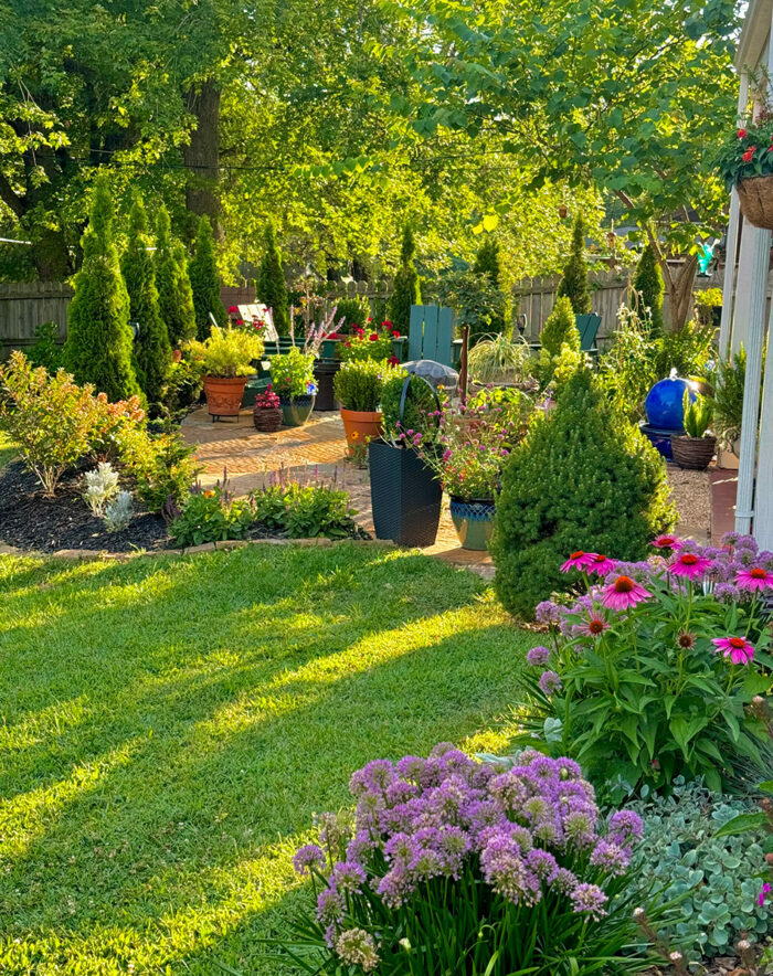 patio with small garden beds and containers surrounding