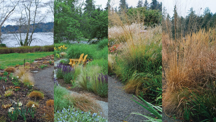 four-season garden with ornamental grass