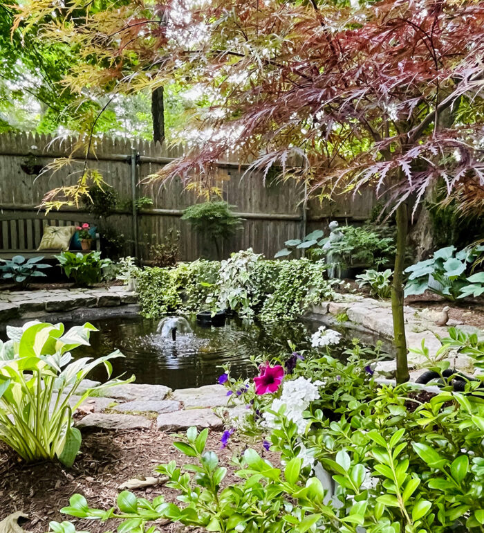 small garden pond with fountain