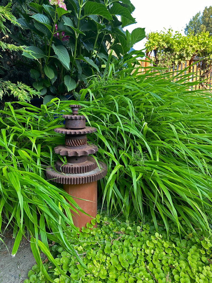 Japanese forest grass growing around rusty gear garden art