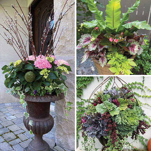 seasonal container plantings