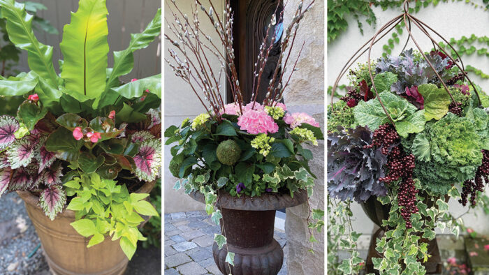 seasonal container plantings