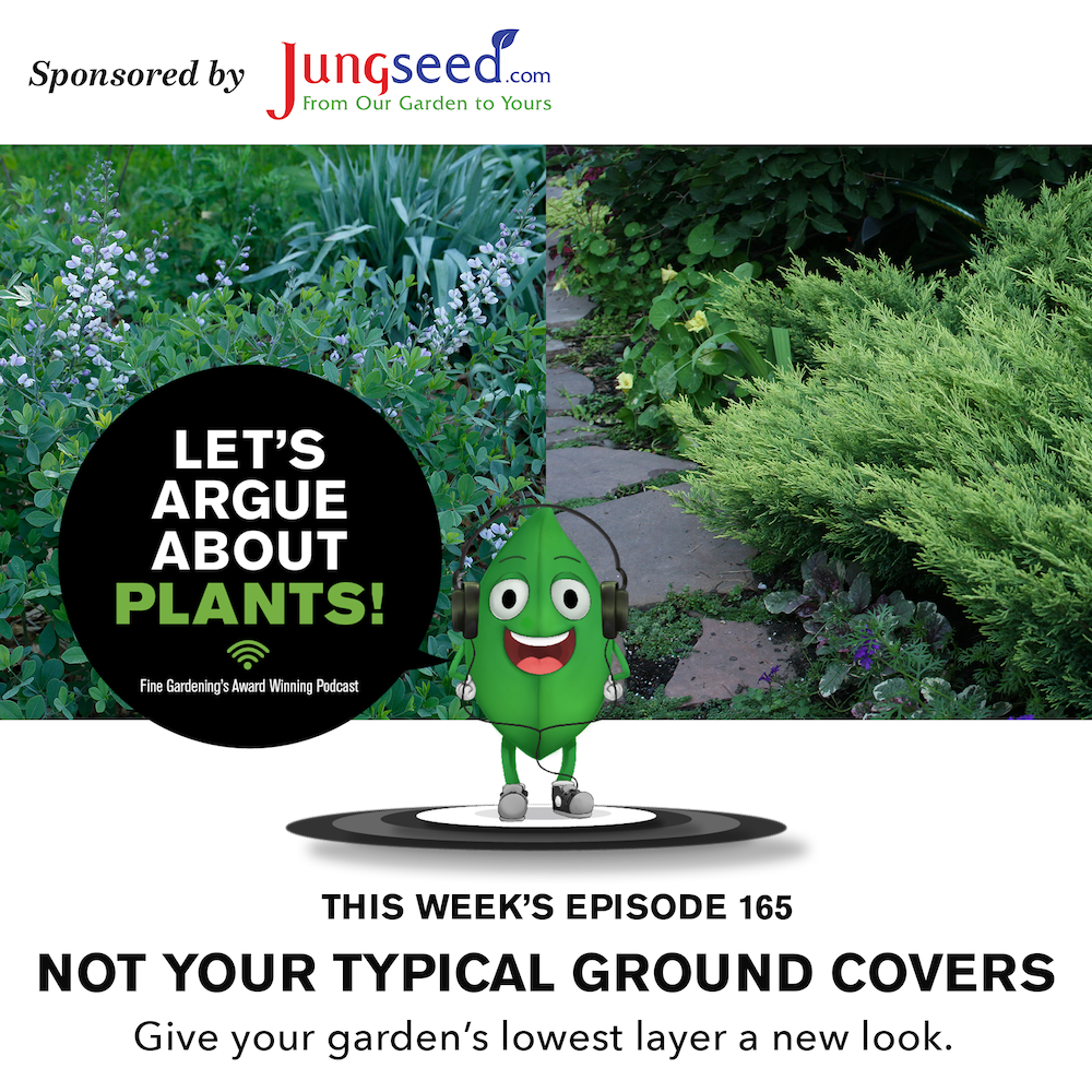 Episode 165: Not Your Typical Ground Covers