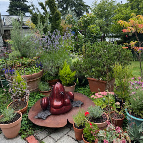 group of container plantings