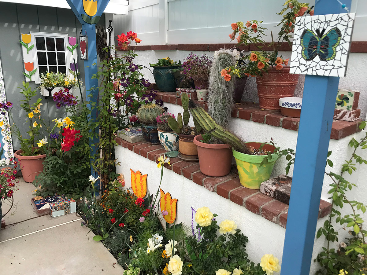 container cacti garden