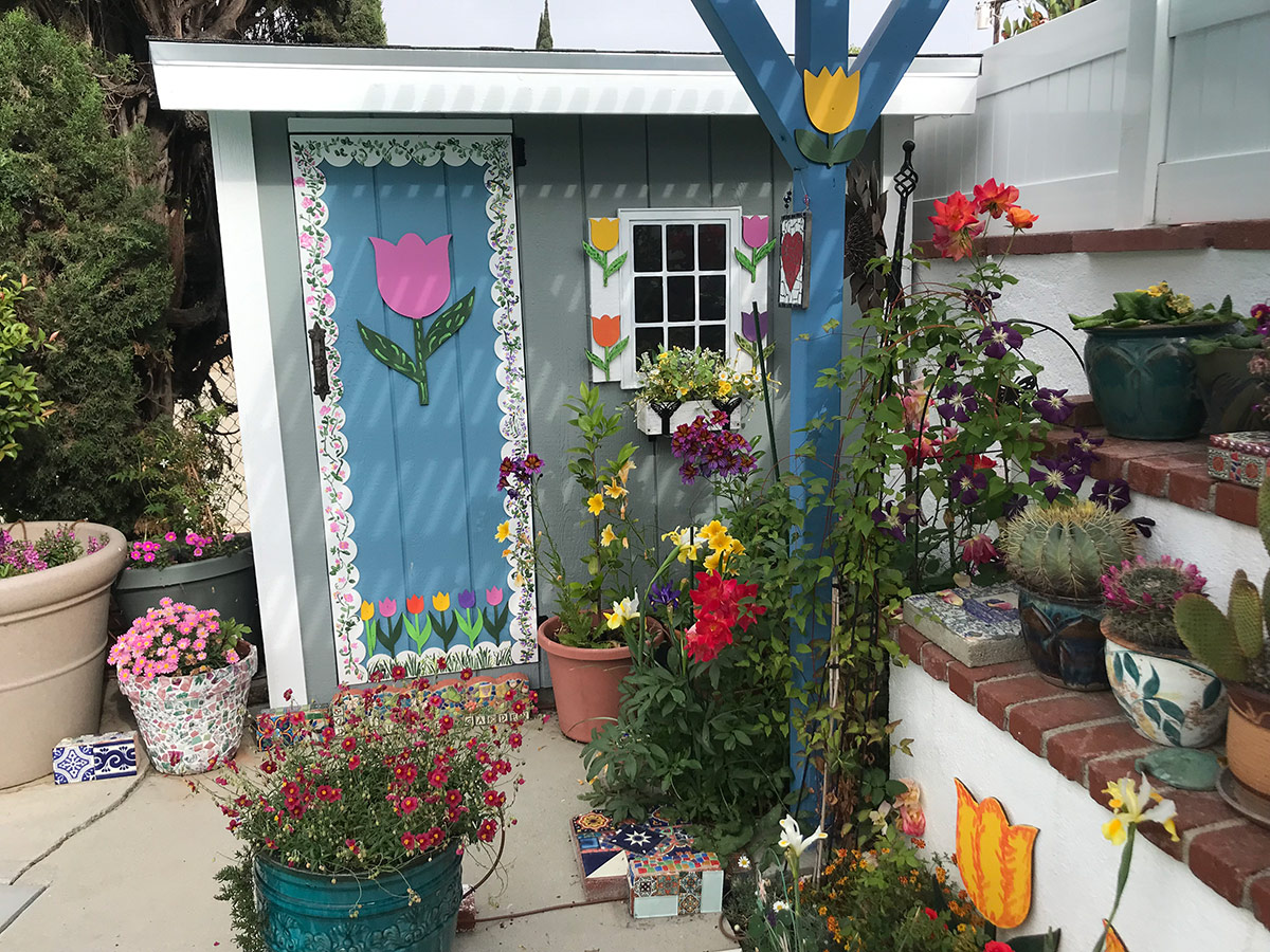 pool shed garden after renovation