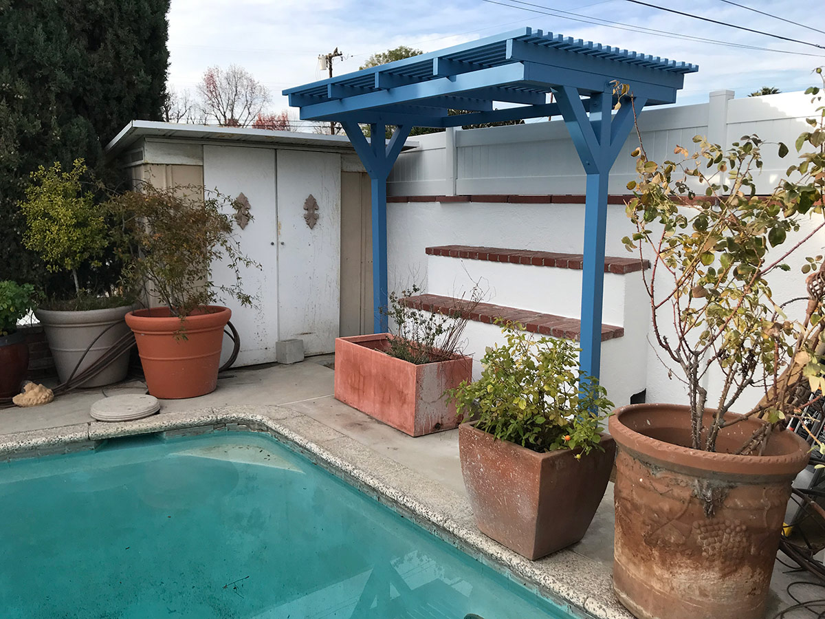 Terry’s Pool Shed Transformation – Positive Gardening