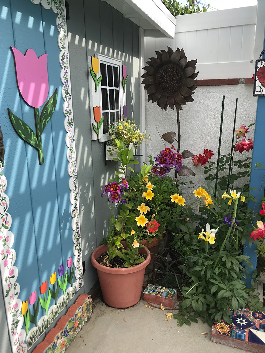 summer flowers in containers