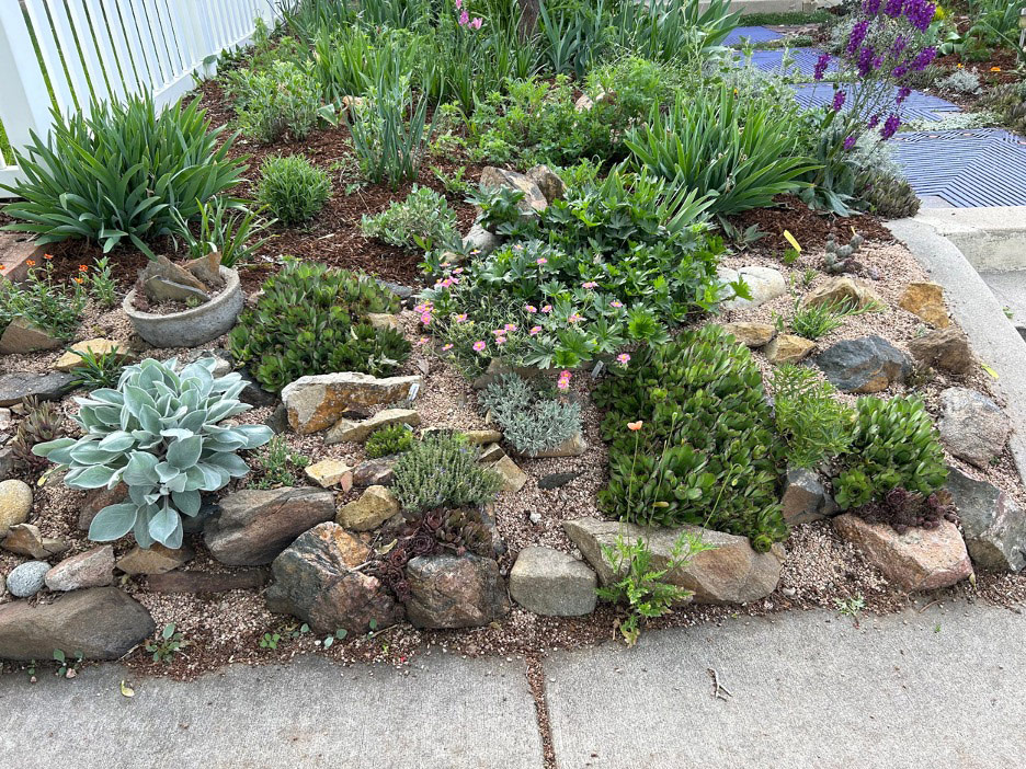 small rock garden