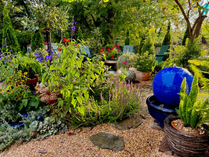 garden with blue fountain and blue plants