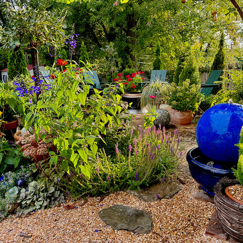 garden with blue fountain and blue plants