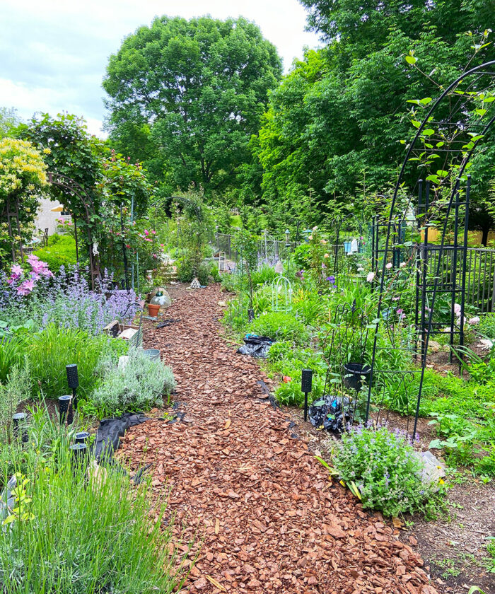 summer garden with mulched path down the center