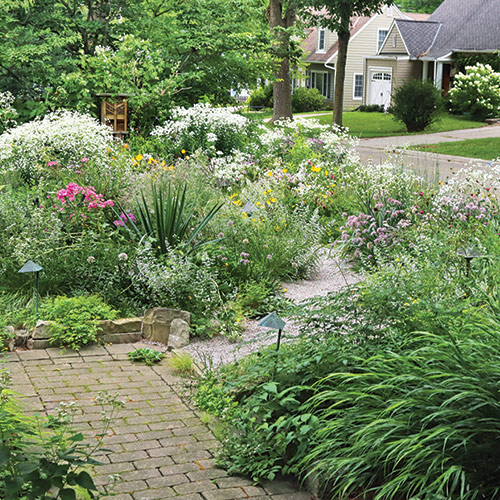 pollinator front yard garden