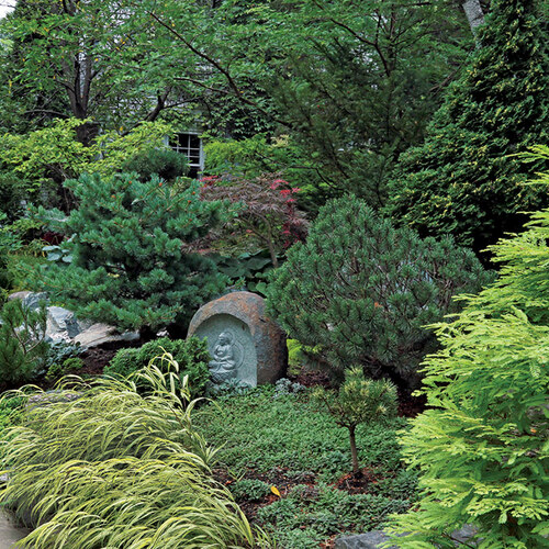 Asian-inspired front yard garden