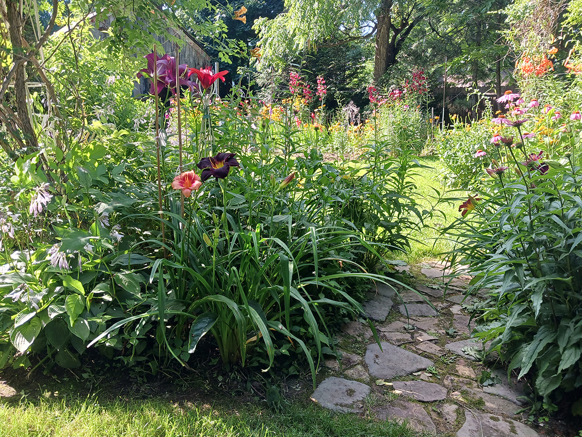 small stone walkway through flowers