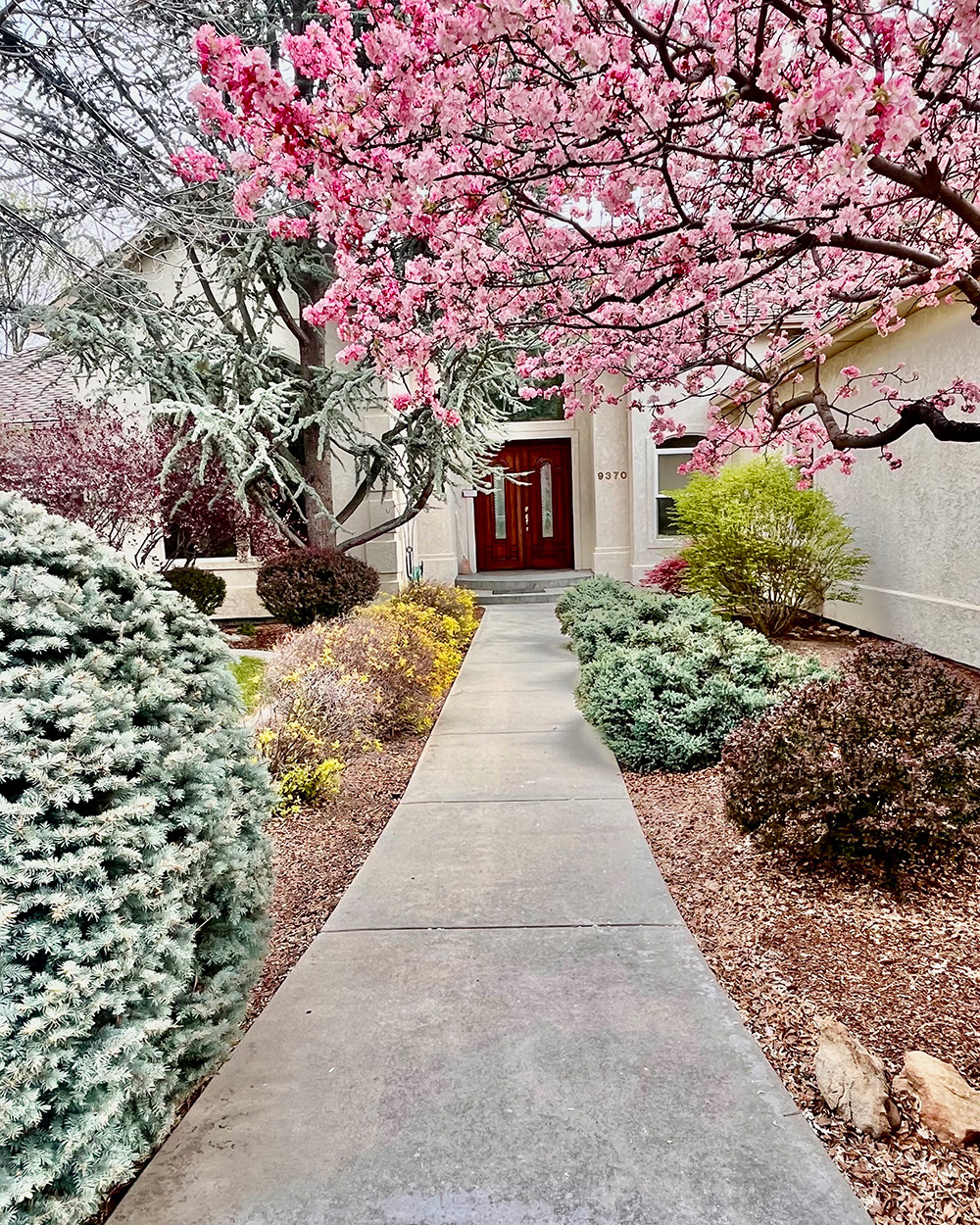 entryway to home with plantings on both sides of path