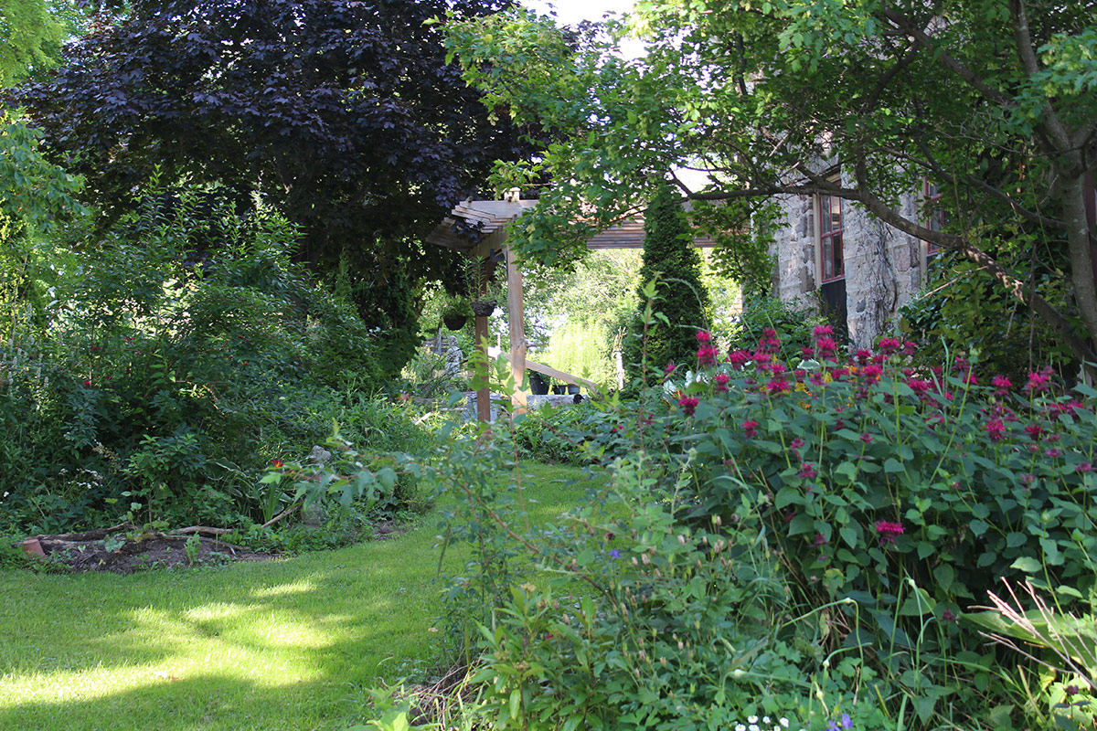 pollinator garden in full bloom