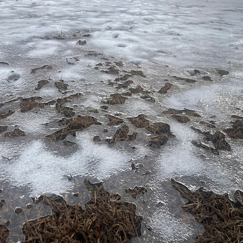 thin layer of ice on lawn