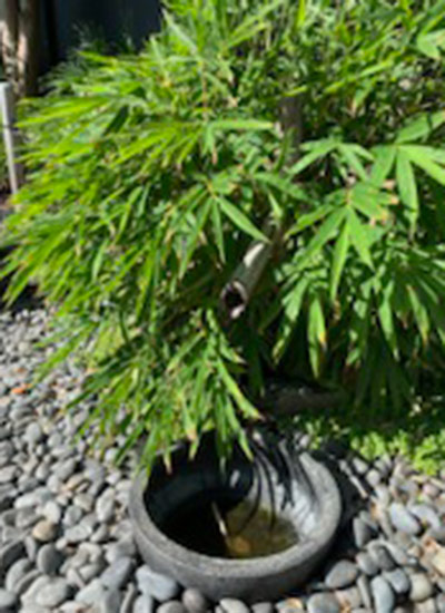 bamboo water spout