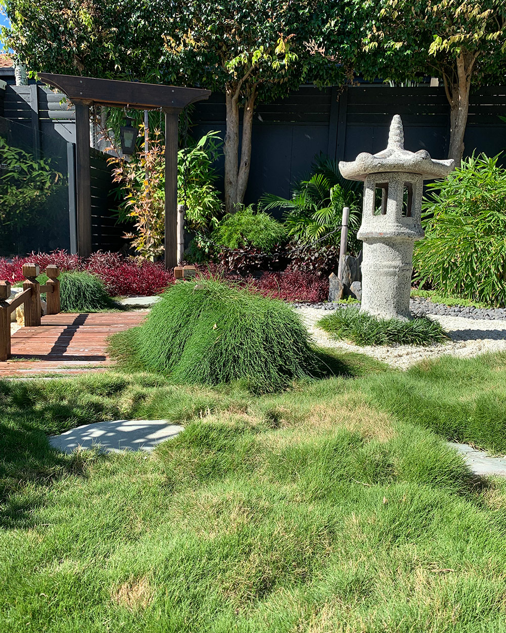 grass in Japanese style garden