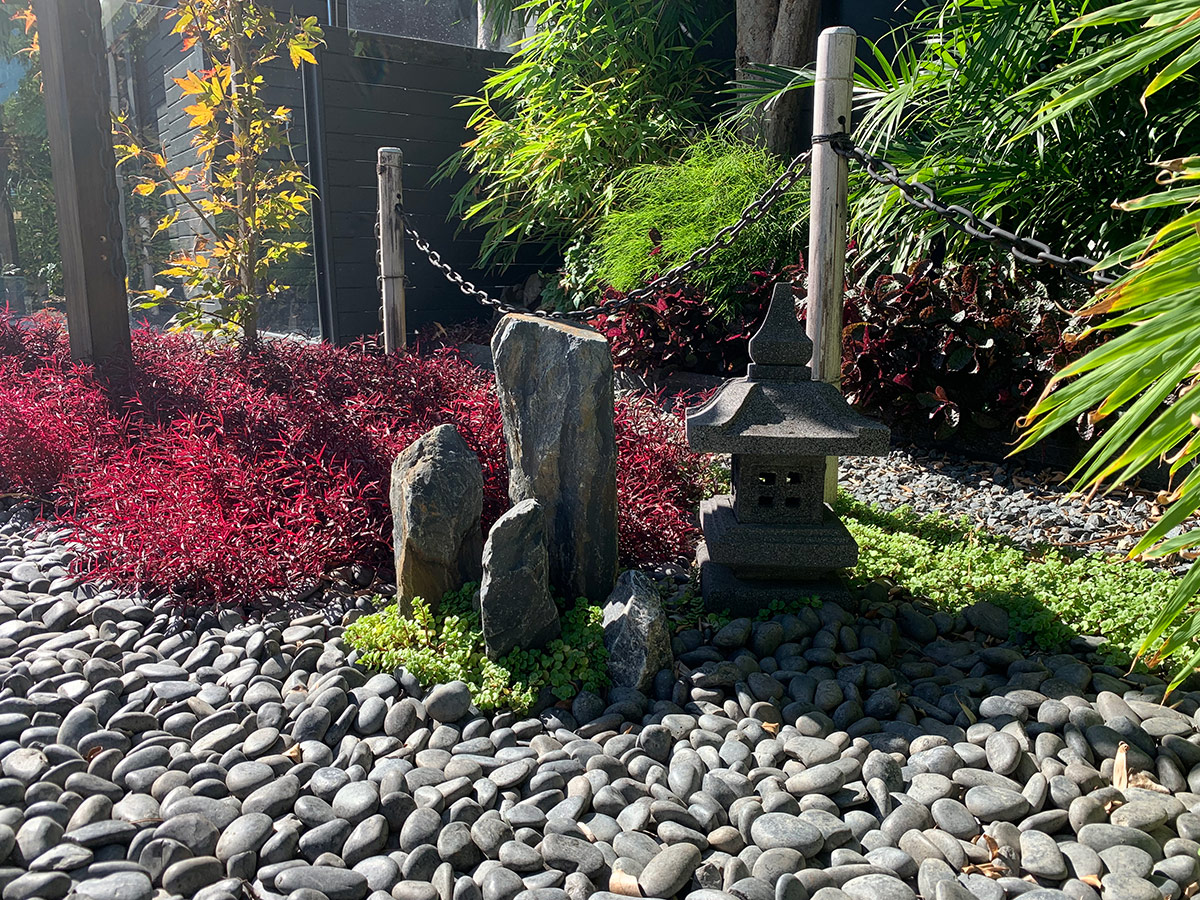 foliage plants around stone garden