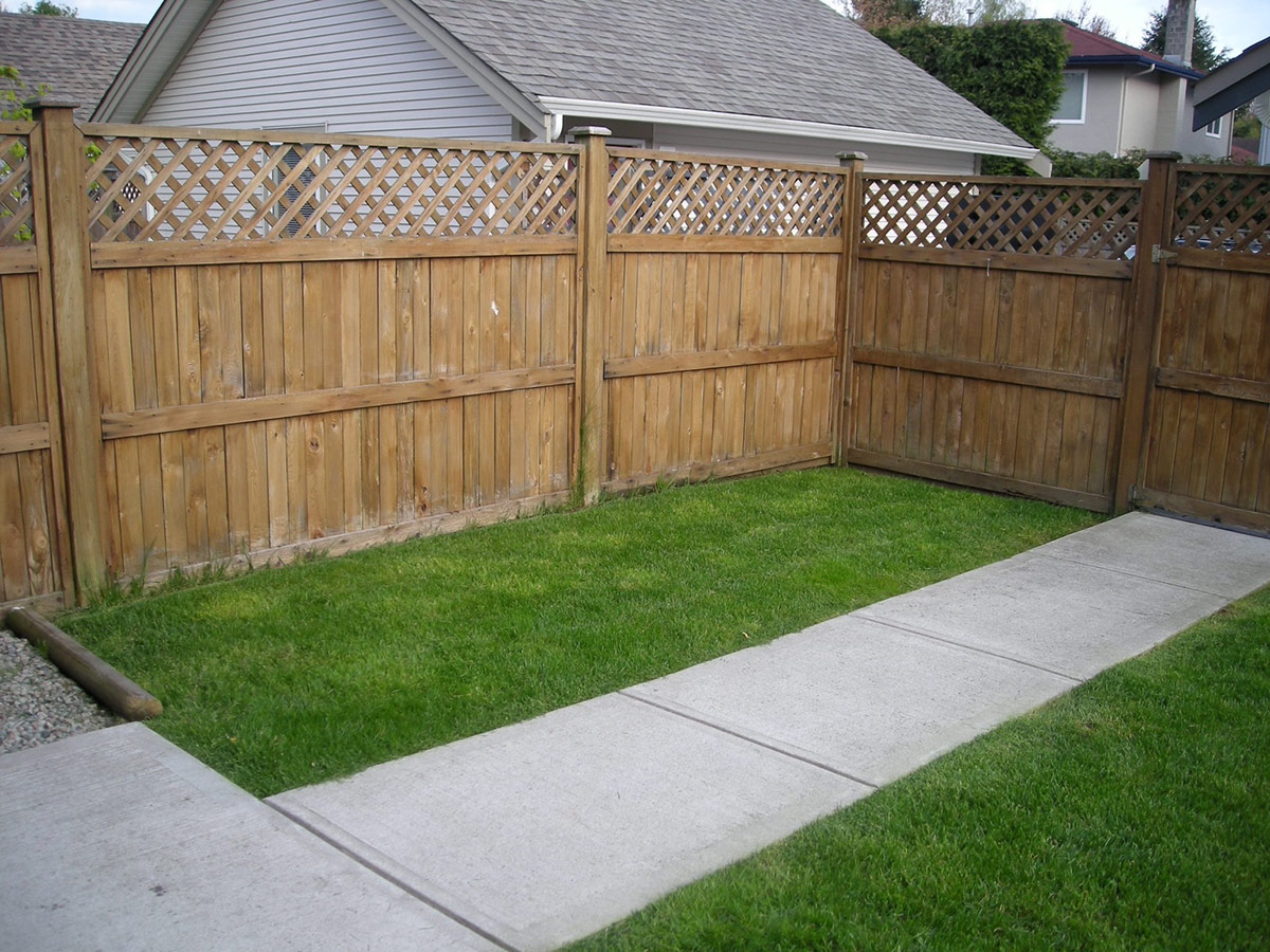 blank slate back yard