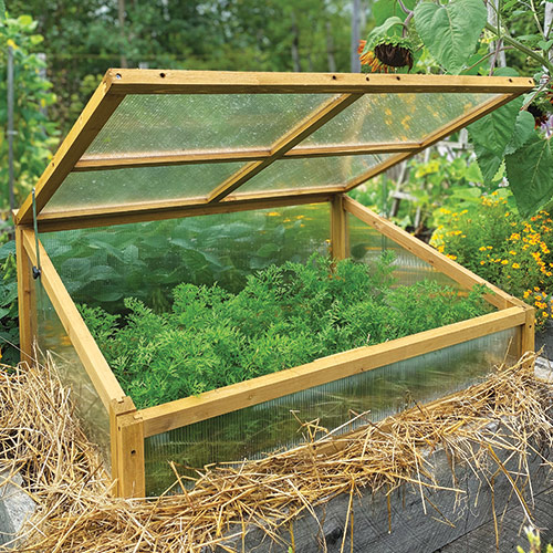 The Lure of Little Houses - Fine Gardening