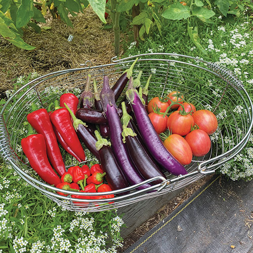 Who Says a Kitchen Garden Can't Be Beautiful? Fine Gardening