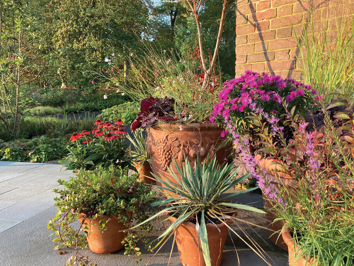 Native containers from Mt. Cuba Center