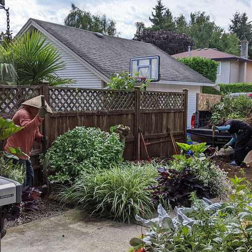 Cherry’s Small Space Garden and Greenhouse Experience, Part 2