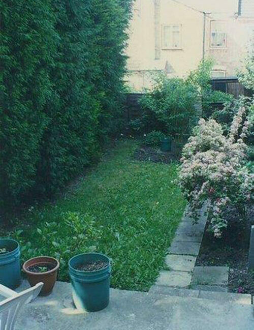 back garden before transformation