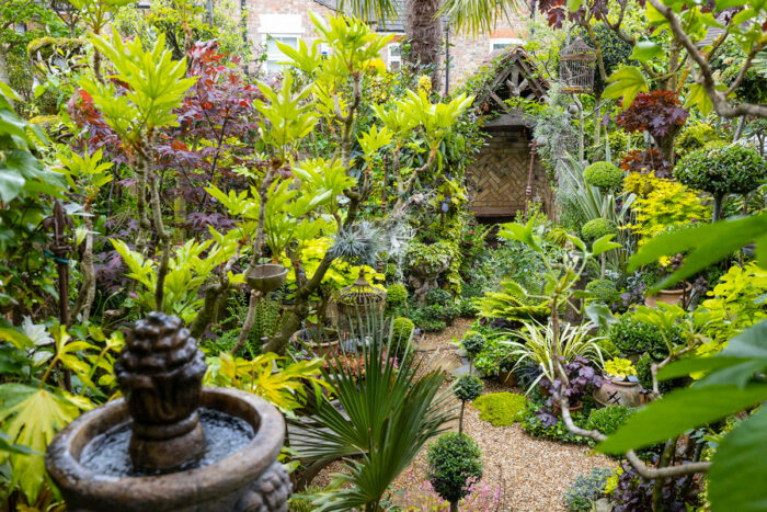 small garden full of a lot of plants
